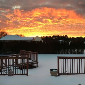 Meet your Posher, Sydney